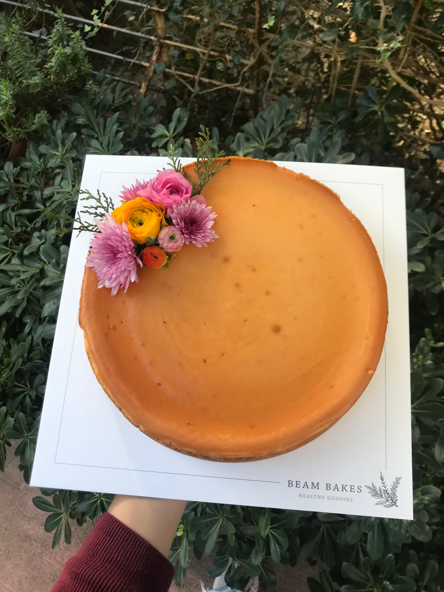 Beam Bakes 2